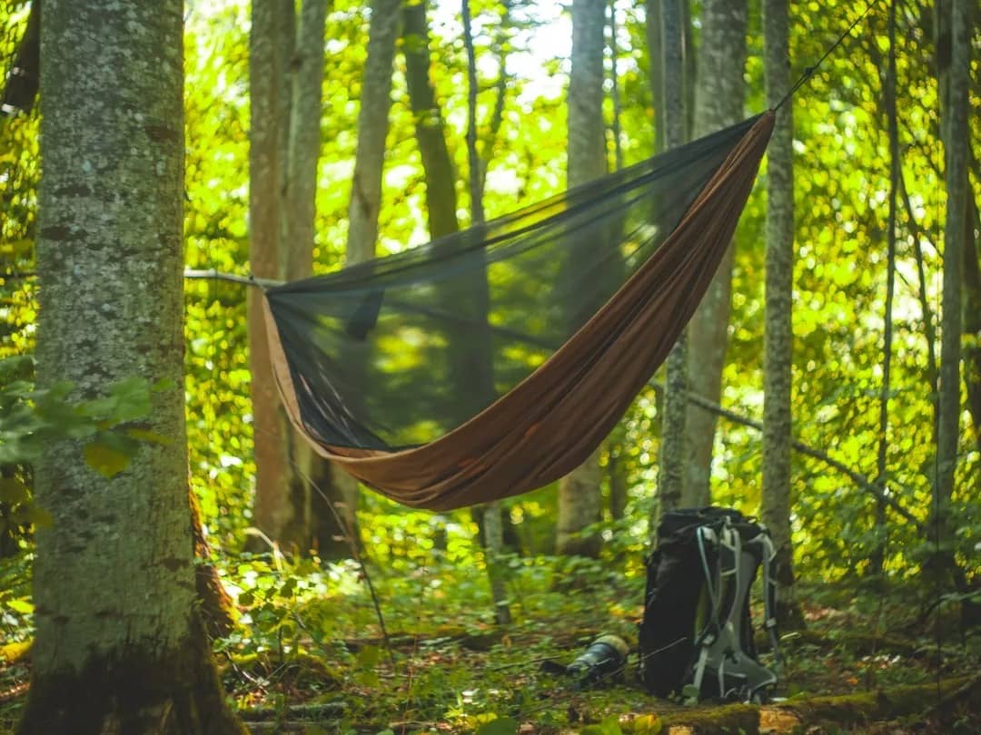 Hamakas su tinkleliu „Kniuisis“